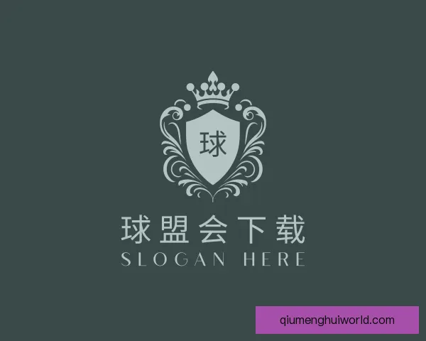 了解球盟会下载